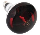 Warmtelamp E27 ES 250W