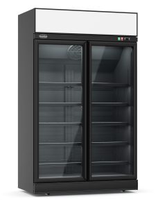 VRIESKAST 2 GLASDEUREN ZWART